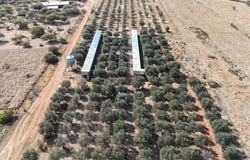 Bela Bela, Limpopo 480