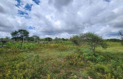 Tweefontein AH, Limpopo 699