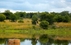 Modimolle, Limpopo 510