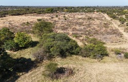 Bela Bela, Limpopo 480