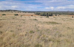 Bainsvlei, Free State 9338