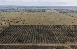 Bela Bela, Limpopo 480