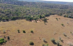 Modimolle, Limpopo 510