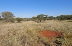 Northam, Limpopo 360