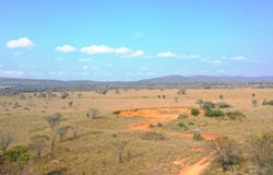 Modimolle, Limpopo 510