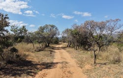 Bela Bela, Limpopo 480