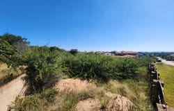 Sterpark, Limpopo 699