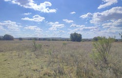Zeerust, North West 2865