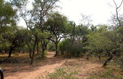 Liverpool, Mpumalanga 1380