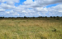 Bela Bela, Limpopo 480
