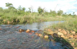 Modimolle, Limpopo 510
