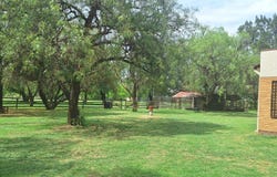 Mantevrede, Free State 1911