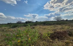 Phalaborwa Rural, Limpopo 1390