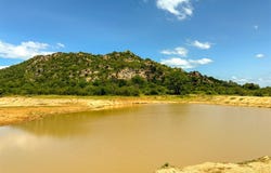 Selati Game Reserve, Limpopo 895