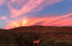 Modimolle, Limpopo 510