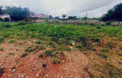 Sterpark, Limpopo 699