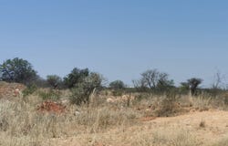 Bendor, Limpopo 699