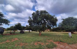 Mookgopong, Limpopo 560