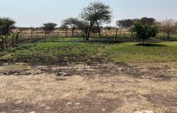 Bela Bela, Limpopo 480