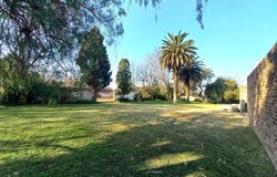 Rand Collieries, Gauteng 1540