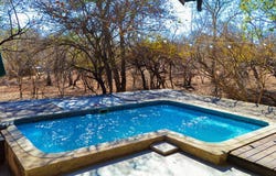 Marloth Park, Mpumalanga 1320