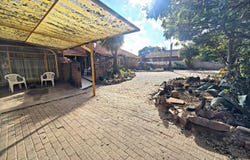 Fauna Park, Limpopo 699