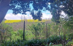 Cemetery Road 370, Caledon, Western Cape 7230