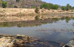 Bela Bela, Limpopo 480