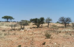 Bendor, Limpopo 699