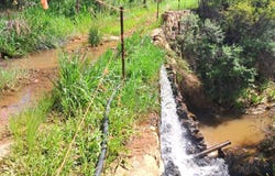 Modimolle, Limpopo 510