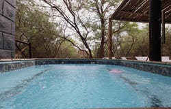 Marloth Park, Mpumalanga 1320