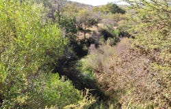 Modimolle, Free State 510