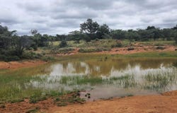 Modimolle, Limpopo 510