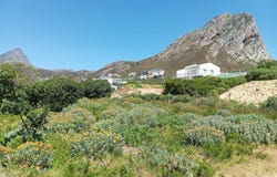 Ixia Road 71, Rooi Els, Western Cape 7196