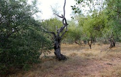 Liverpool, Mpumalanga 1380