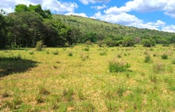 Modimolle, Limpopo 510