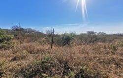 Tweefontein AH, Limpopo 699