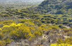 Riversdale Rural, Western Cape 6670