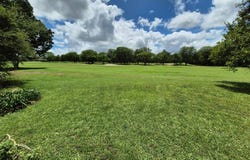 Phalaborwa, Limpopo 1390