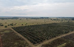 Bela Bela, Limpopo 480