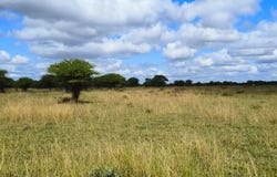 Bela Bela, Limpopo 480