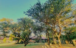 Modimolle, Limpopo 510