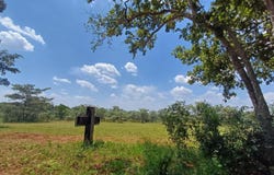 Modimolle, Limpopo 510
