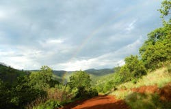 Modimolle, Limpopo 510
