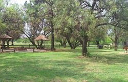 Mantevrede, Free State 1911