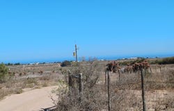 Trekoskraal, Western Cape 7381