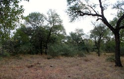 Liverpool, Mpumalanga 1380