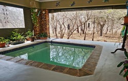 Marloth Park, Mpumalanga 1320
