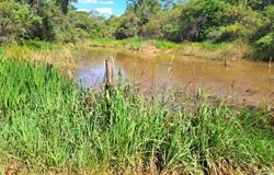 Modimolle, Limpopo 510