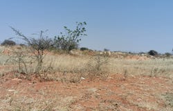 Bendor, Limpopo 699